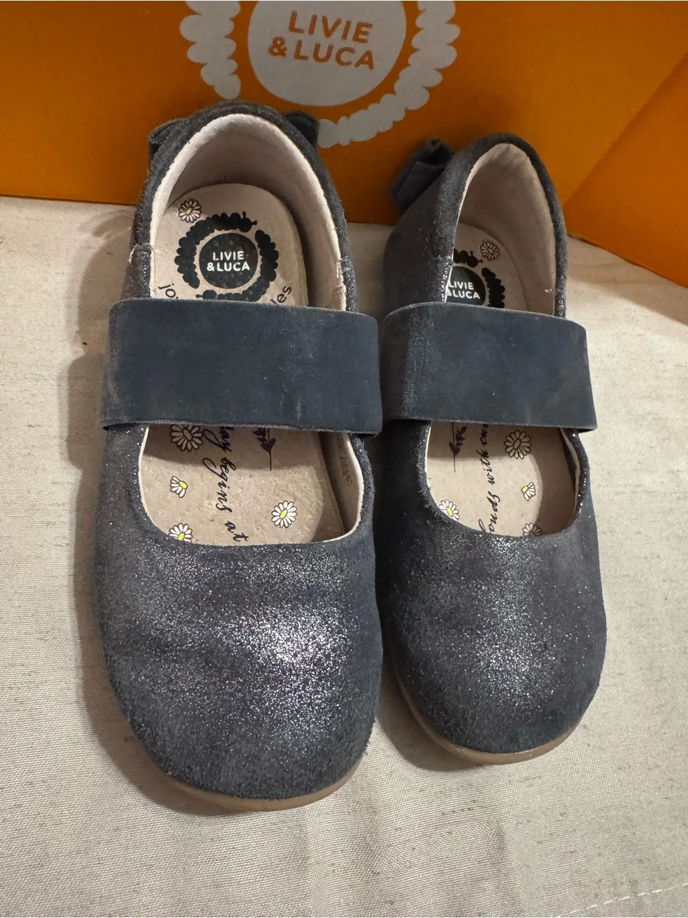 Livie & Luca Aria Ballet Flats - Dark Pewter Shimmer (Size 10) EUC With Box